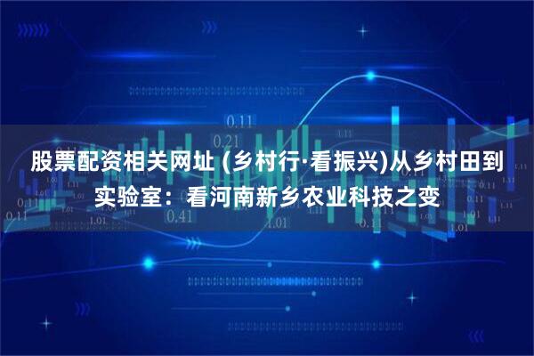 股票配资相关网址 (乡村行·看振兴)从乡村田到实验室：看河南新乡农业科技之变